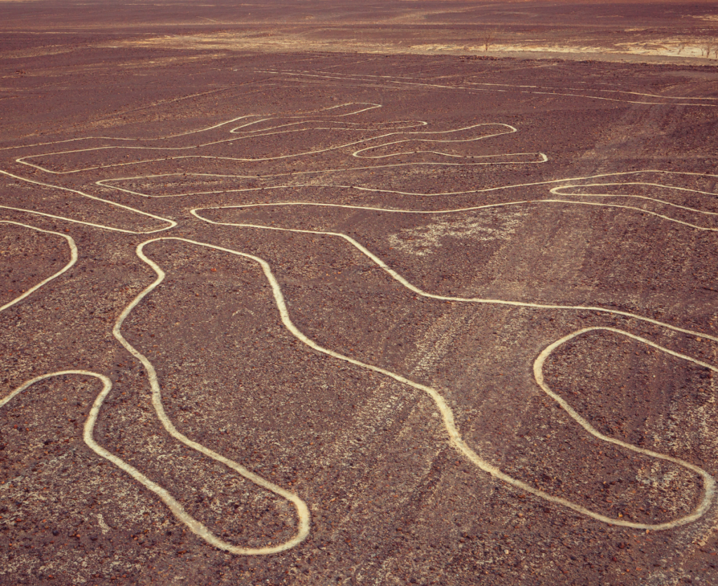 Curiosities about the Nazca Lines